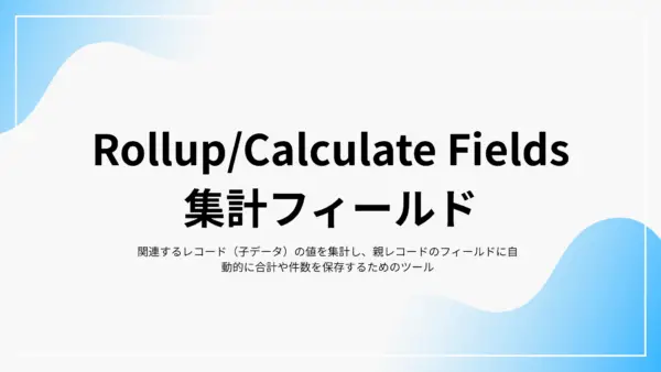 Rollup/Calculate Fields (集計フィールド) - 拡張機能マニュアル